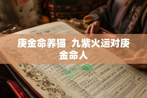 庚金命养猫  九紫火运对庚金命人