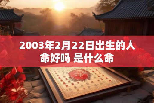 2003年2月22日出生的人命好吗 是什么命