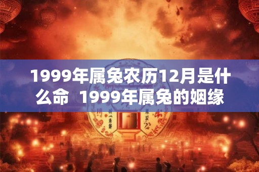 1999年属兔农历12月是什么命  1999年属兔的姻缘