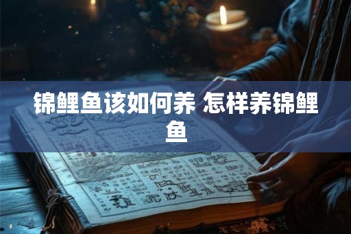 锦鲤鱼该如何养 怎样养锦鲤鱼