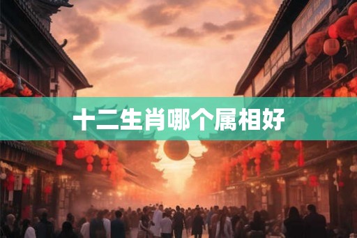 十二生肖哪个属相好