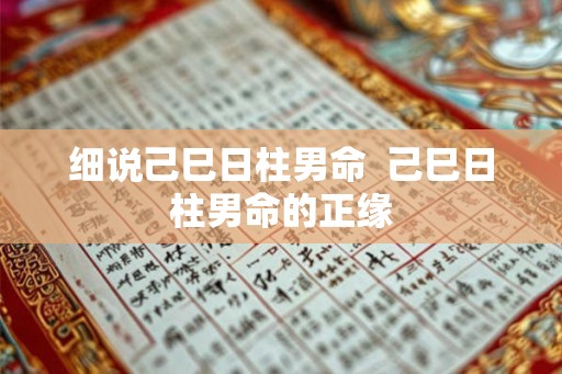 细说己巳日柱男命 己巳日柱男命的正缘 细说己巳日柱男命 己巳日柱男命的正缘