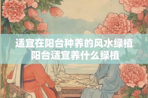 适宜在阳台种养的风水绿植 阳台适宜养什么绿植