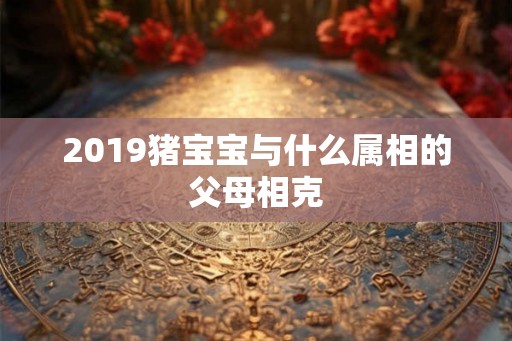 2019猪宝宝与什么属相的父母相克