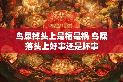 鸟屎掉头上是福是祸 鸟屎落头上好事还是坏事