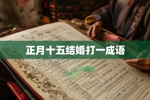 正月十五结婚打一成语