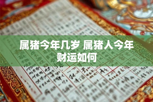 属猪今年几岁 属猪人今年财运如何