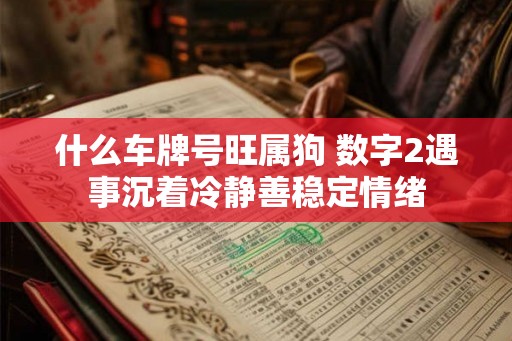 什么车牌号旺属狗 数字2遇事沉着冷静善稳定情绪 什么车牌号旺属狗 数字2遇事沉着冷静善稳定情绪