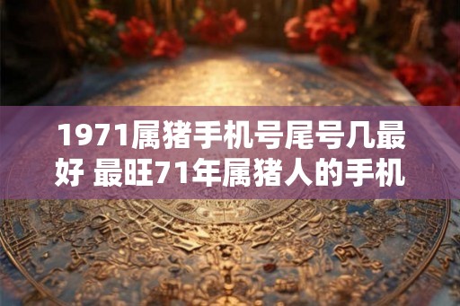 1971属猪手机号尾号几最好 最旺71年属猪人的手机尾号