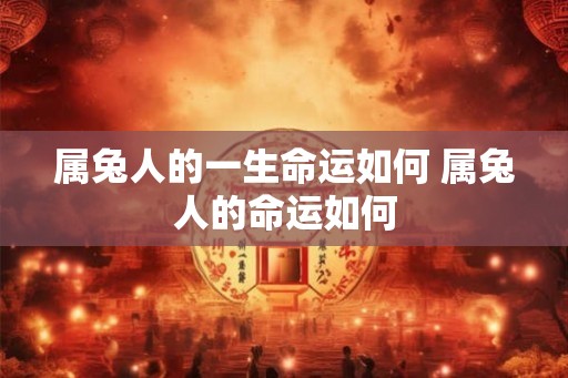 属兔人的一生命运如何 属兔人的命运如何
