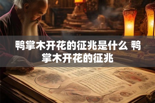 鸭掌木开花的征兆是什么 鸭掌木开花的征兆