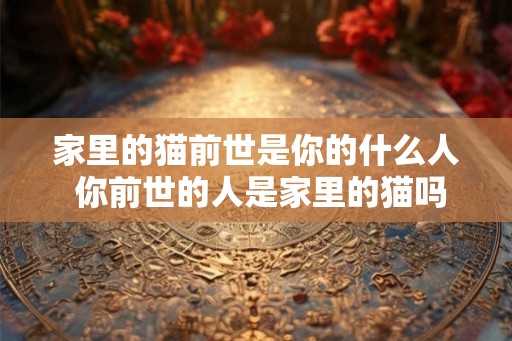 家里的猫前世是你的什么人 你前世的人是家里的猫吗
