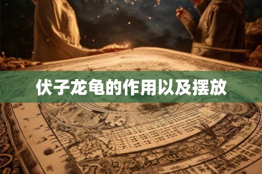 伏子龙龟的作用以及摆放