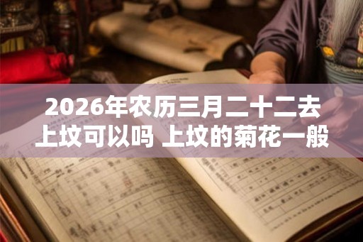 2026年农历三月二十二去上坟可以吗 上坟的菊花一般是什么品种 2026年农历三月二十二去上坟可以吗 上坟的菊花一般是什么品种