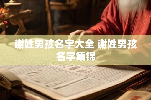 谢姓男孩名字大全 谢姓男孩名字集锦