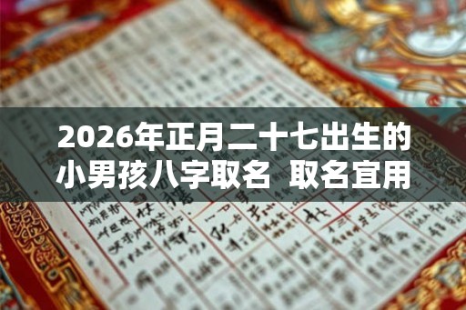 2026年正月二十七出生的小男孩八字取名 取名宜用字 2026年正月二十七出生的小男孩八字取名 取名宜用字