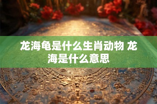 龙海龟是什么生肖动物 龙海是什么意思