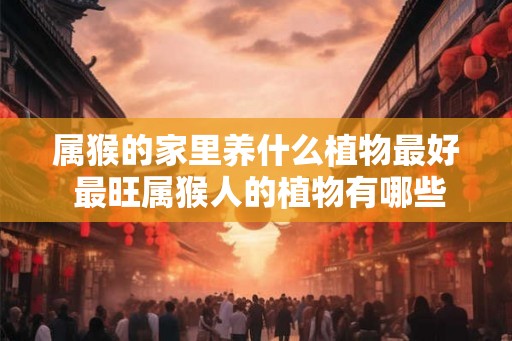 属猴的家里养什么植物最好 最旺属猴人的植物有哪些 属猴的家里养什么植物最好 最旺属猴人的植物有哪些