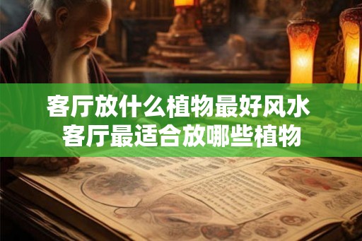 客厅放什么植物最好风水 客厅最适合放哪些植物
