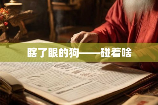 瞎了眼的狗——碰着啥