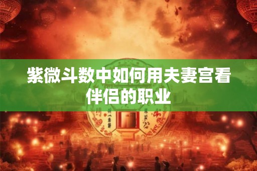 紫微斗数中如何用夫妻宫看伴侣的职业