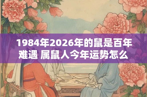 1984年2026年的鼠是百年难遇 属鼠人今年运势怎么样
