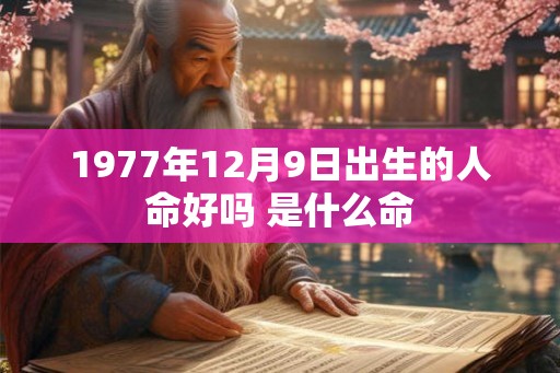 1977年12月9日出生的人命好吗 是什么命