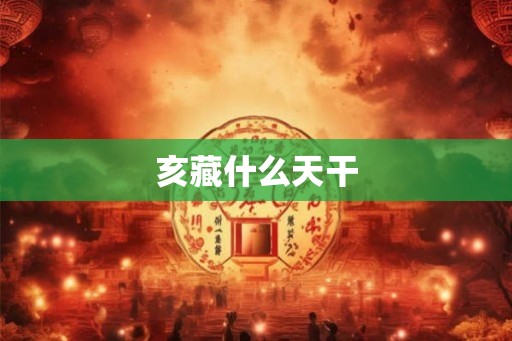 亥藏什么天干