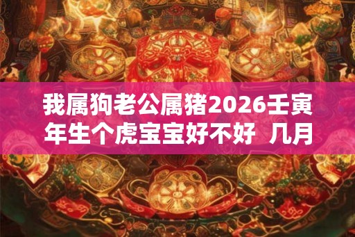 我属狗老公属猪2026壬寅年生个虎宝宝好不好  几月份的虎宝宝有福气