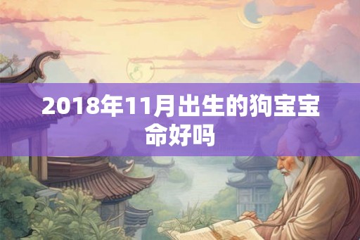 2018年11月出生的狗宝宝命好吗 2018年11月出生的狗宝宝命好吗
