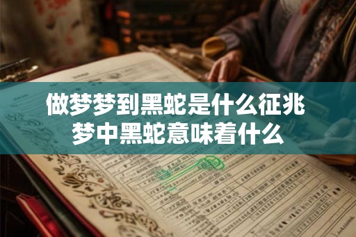 做梦梦到黑蛇是什么征兆 梦中黑蛇意味着什么