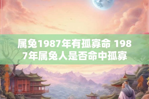属兔1987年有孤寡命 1987年属兔人是否命中孤寡