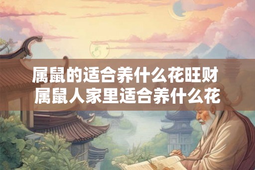属鼠的适合养什么花旺财 属鼠人家里适合养什么花