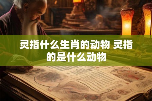 灵指什么生肖的动物 灵指的是什么动物 灵指什么生肖的动物 灵指的是什么动物