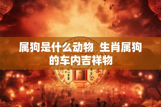 属狗是什么动物  生肖属狗的车内吉祥物