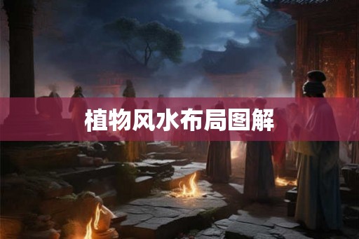 植物风水布局图解