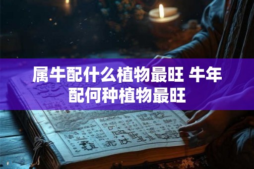 属牛配什么植物最旺 牛年配何种植物最旺