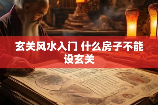 玄关风水入门 什么房子不能设玄关