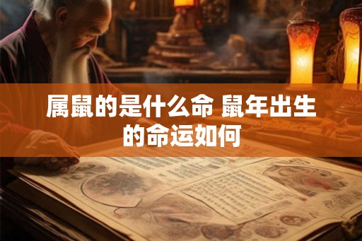 属鼠的是什么命 鼠年出生的命运如何