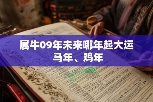属牛09年未来哪年起大运 马年、鸡年