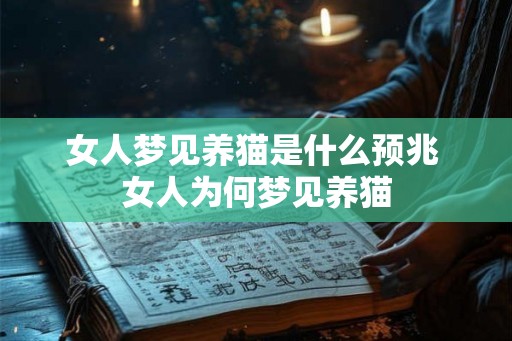女人梦见养猫是什么预兆 女人为何梦见养猫