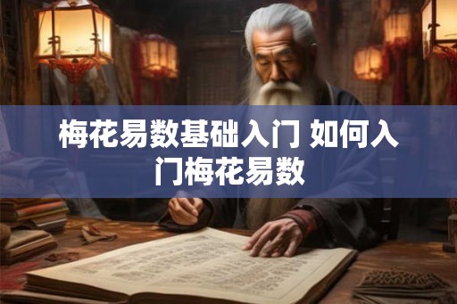梅花易数基础入门 如何入门梅花易数
