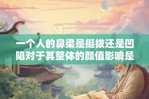 一个人的鼻梁是挺拔还是凹陷对于其整体的颜值影响是很大的