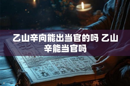 乙山辛向能出当官的吗 乙山辛能当官吗
