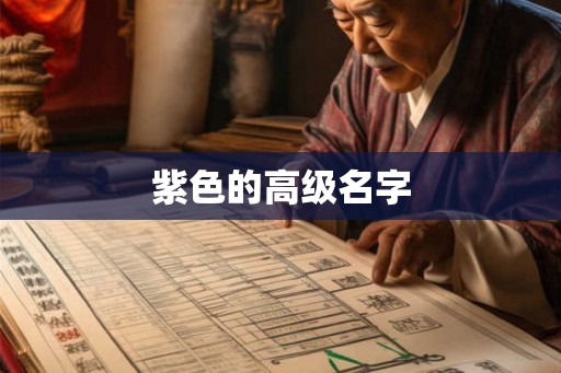 紫色的高级名字