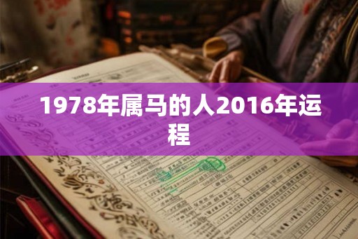 1978年属马的人2016年运程 1978年属马的人2016年运程