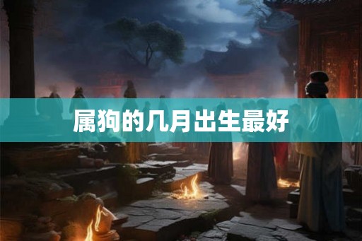 属狗的几月出生最好