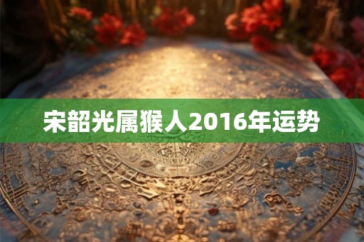 宋韶光属猴人2016年运势