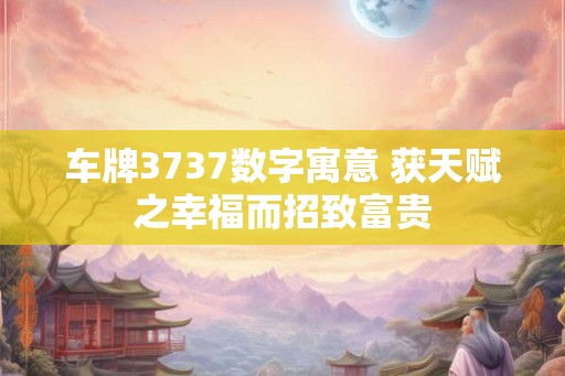 车牌3737数字寓意 获天赋之幸福而招致富贵 车牌3737数字寓意 获天赋之幸福而招致富贵