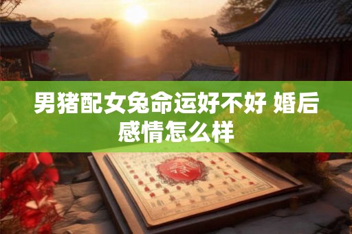 男猪配女兔命运好不好 婚后感情怎么样